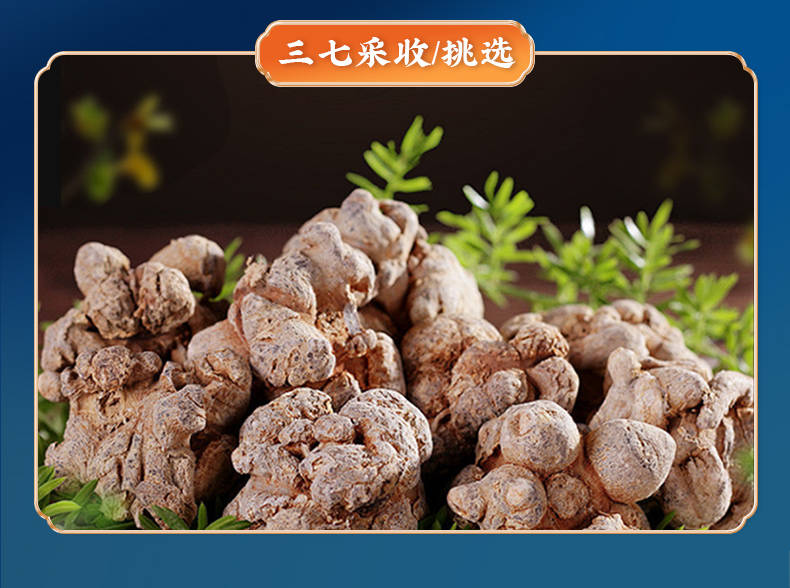 买三七粉哪个品牌好？品质保证！