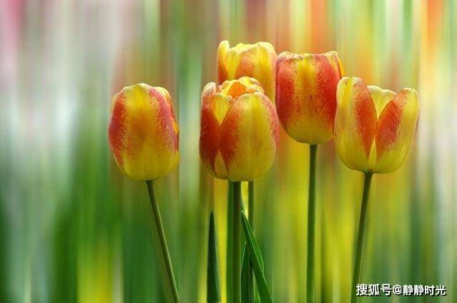 人这辈子，什么最值钱？（句句在理）