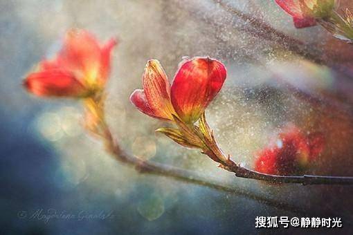 人这辈子，什么最值钱？（句句在理）