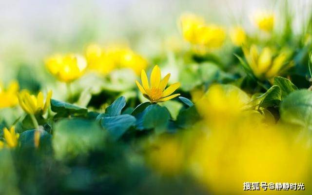人这辈子，什么最值钱？（句句在理）