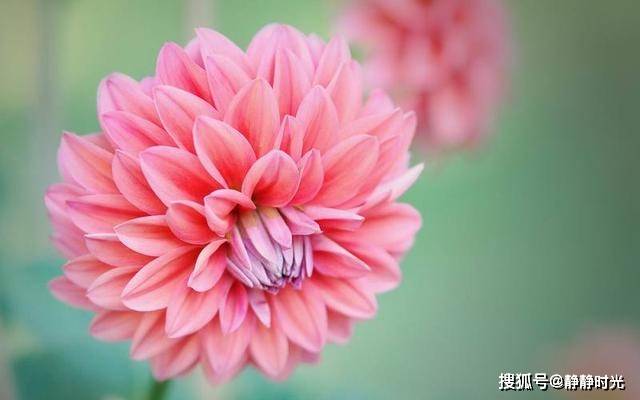 人这辈子，什么最值钱？（句句在理）