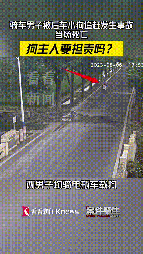 男子骑电车被狗追撞树身亡，狗主人要担责吗？