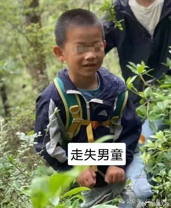 自闭症男孩参加夏令营失联，大理官方再发通告！业内人士：正规机构会放定位器