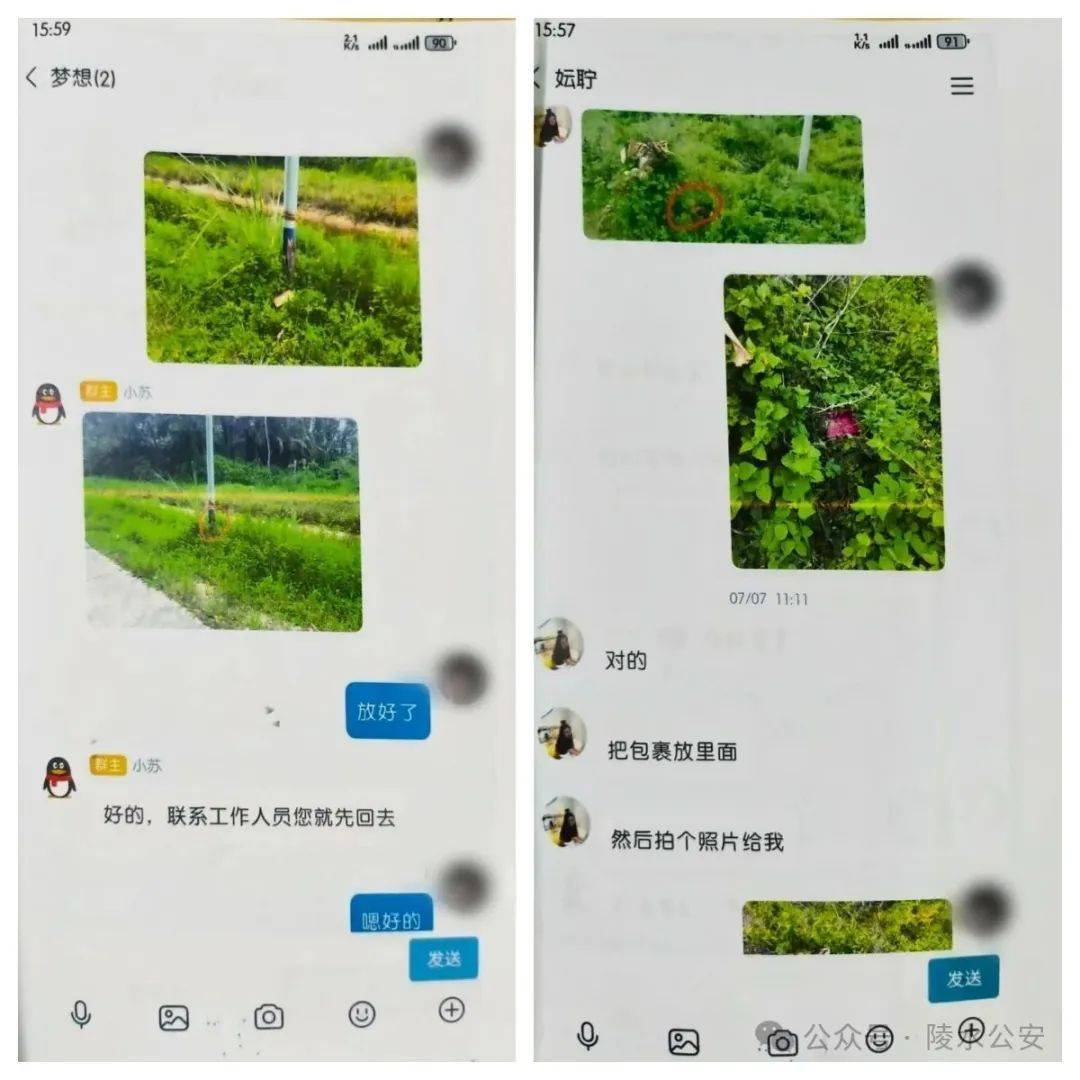“短剧答题赢红包”？海南一男子上当受骗，把50万元现金藏在树根下、路边公示牌后、草丛中……