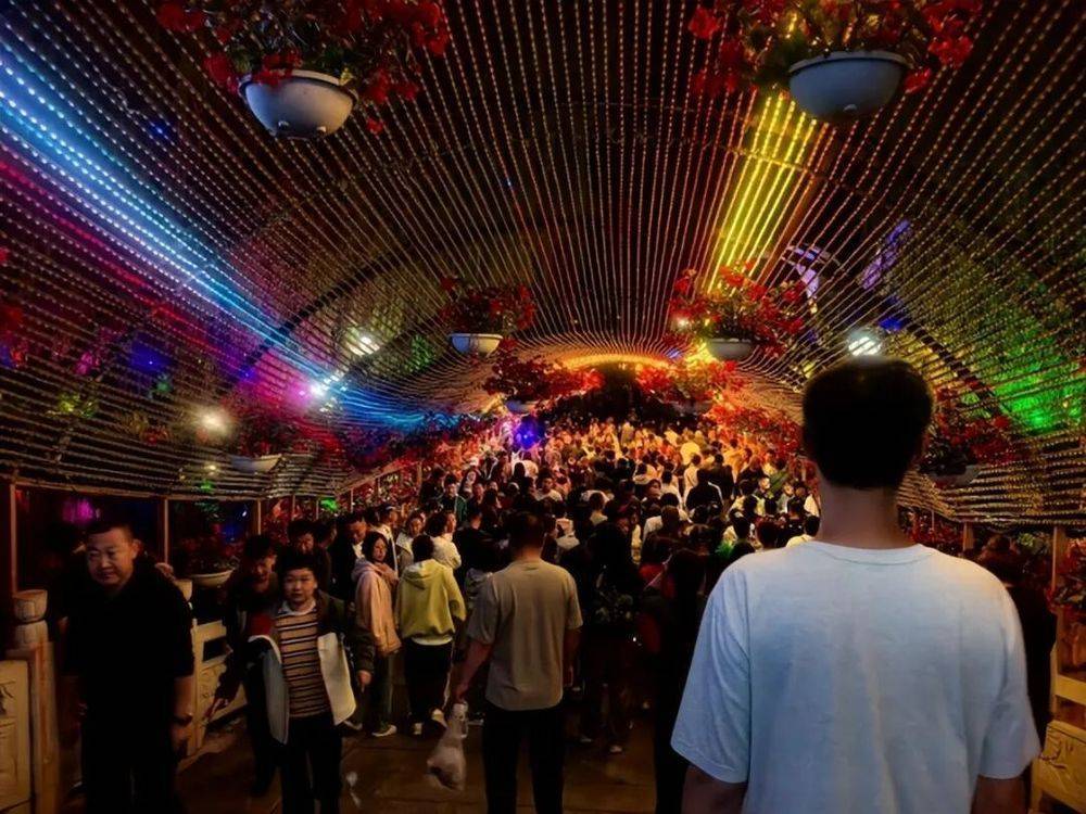 1336万人次!吉林太火了!