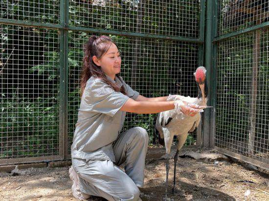 鹤舞高原——黑颈鹤“降级”背后的青海守护