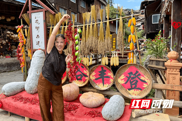 通道芋头古侗寨:“晒秋”“丰”景引客来