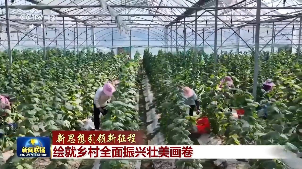 新思想引领新征程丨绘就乡村全面振兴壮美画卷