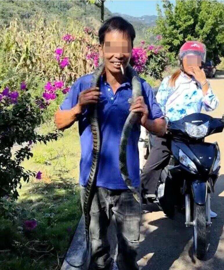 驴友爬山捡幼蛇轮流抚摸，专家：是短尾蝮蛇，毒性强，严重可导致死亡！