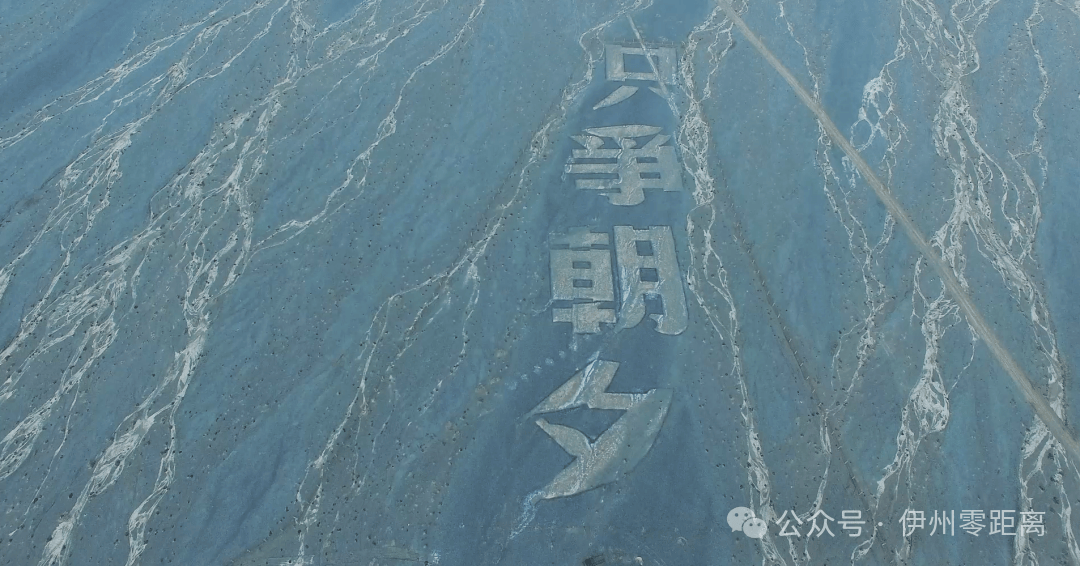 戈壁滩“为人民服务”大字遭破坏 新疆哈密：积极谋划整体保护方案