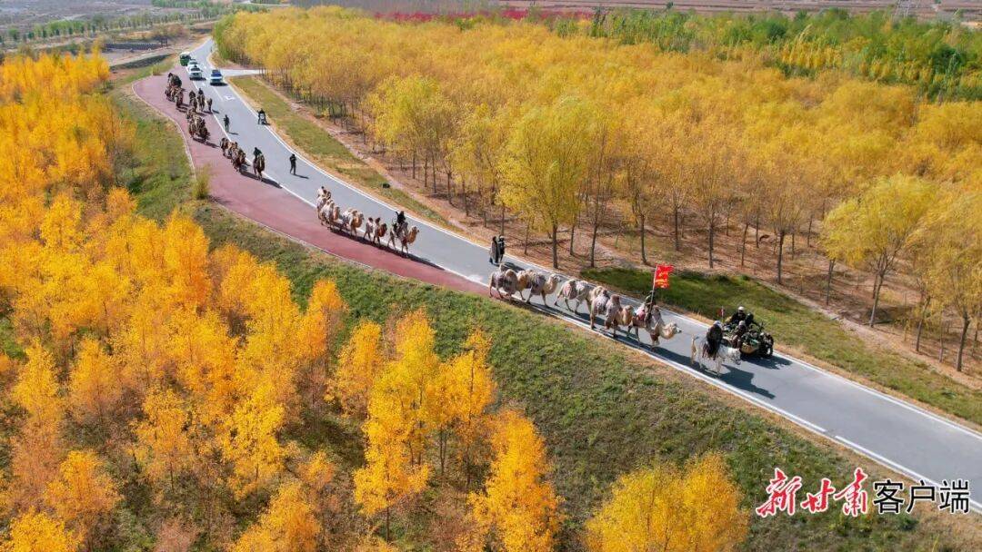 张掖甘州区：悠悠驼铃话丝路