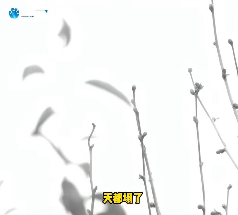 “天塌了，我一生都毁了”，男子称养了20年才发现儿子非亲生！前妻坚决否认