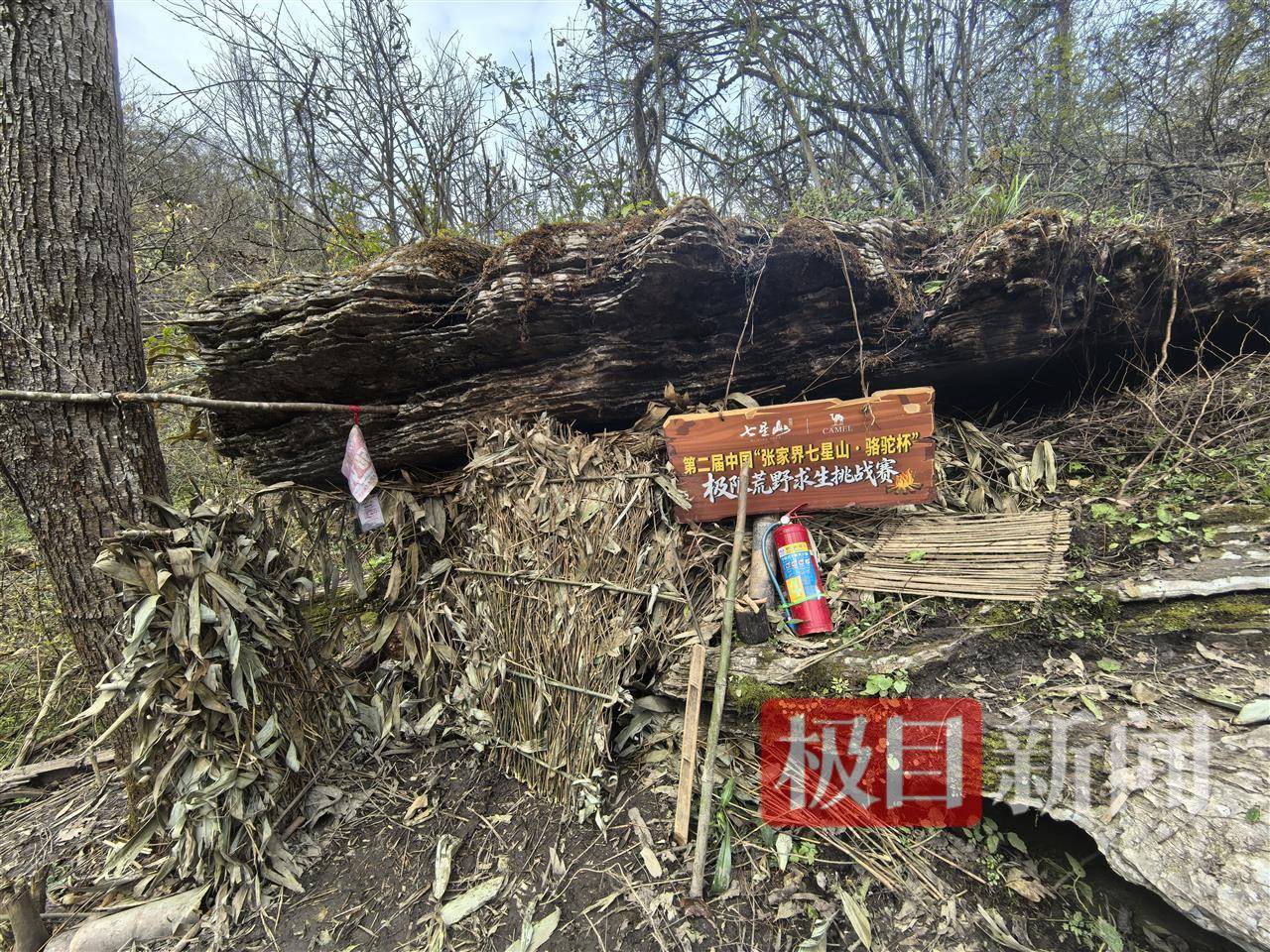 实探张家界荒野求生选手“苗王”的庇护所:堆着大量猕猴桃等野果,一个多月他只瘦了10多斤