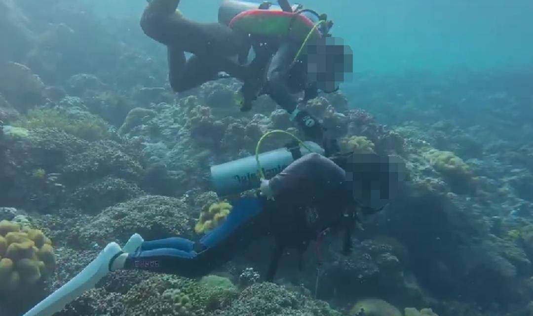 紫牛热点|网传一潜水员水下关闭他人气瓶?国际专业潜水教练协会回应:正配合有关部门调查核实