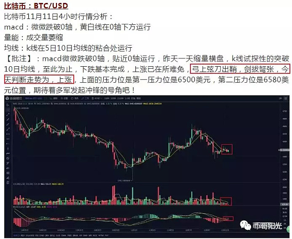 币哥阳光(阳光币下载)