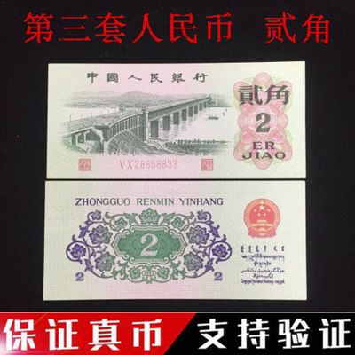 淘币网(淘币网反波胆)