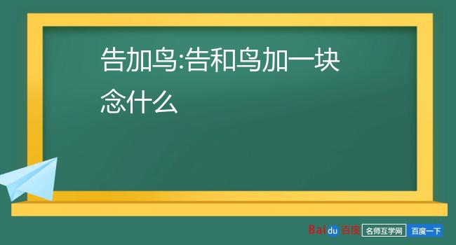 币加鸟(币加鸟念啥)
