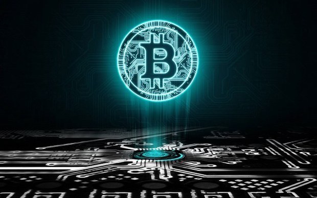 网客币(网课变身)
