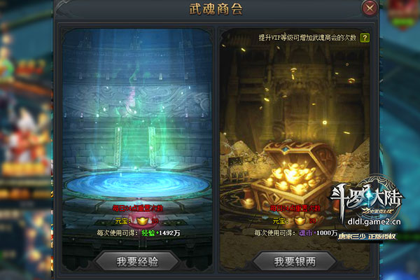 魂币(斗罗大陆金魂币)